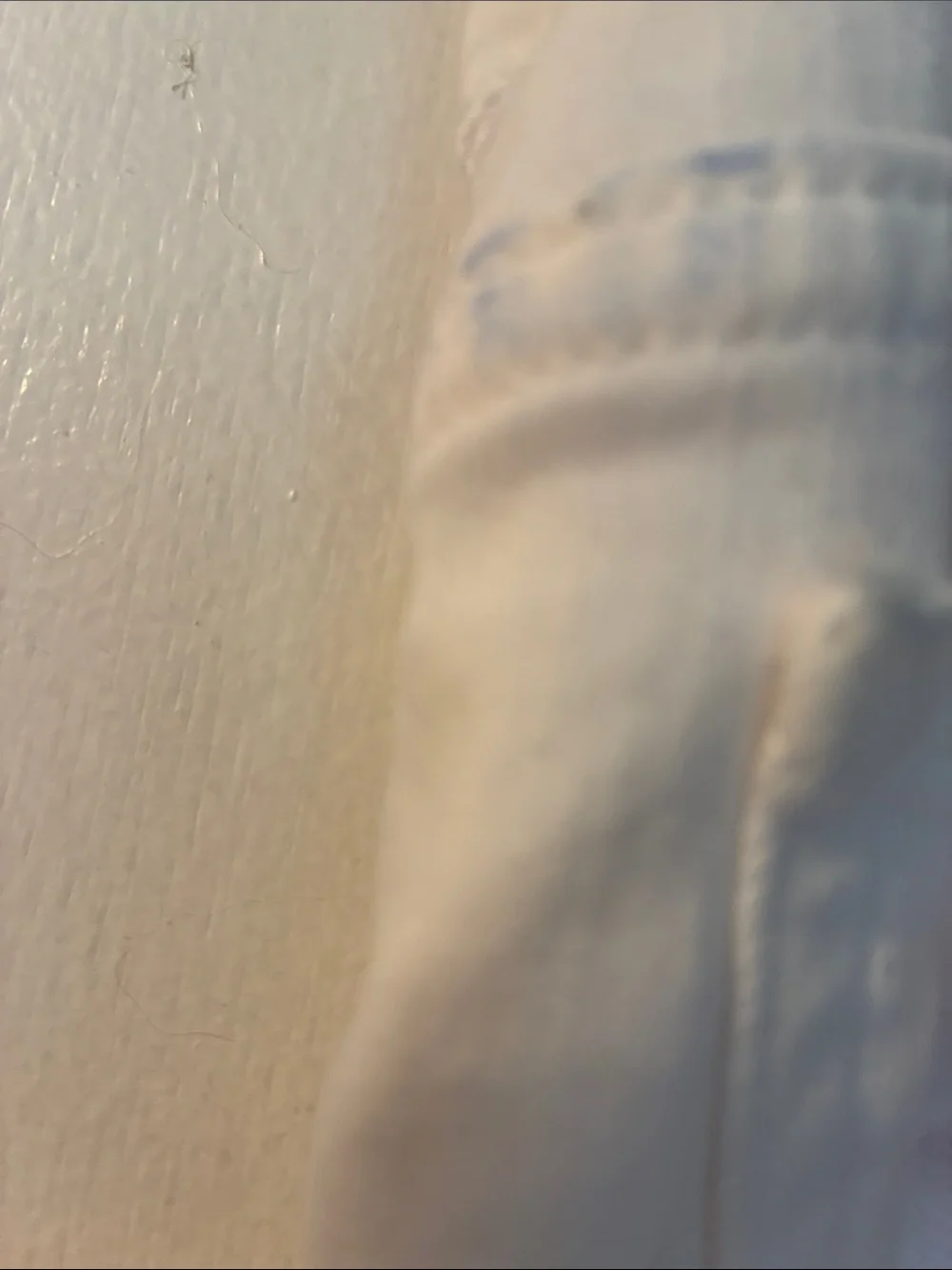 JCrew Maternity White Stretch Jeans